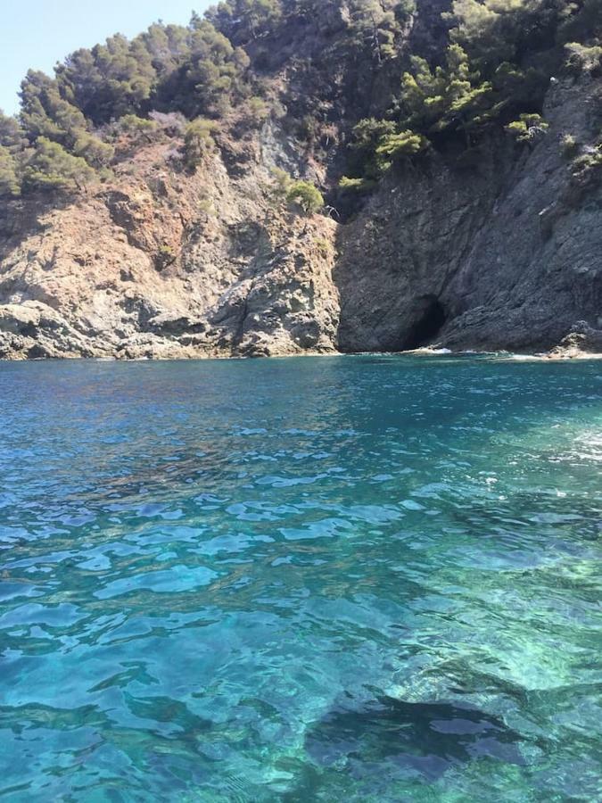 Tavernetta 109 Terrazza Tra Le 5 Terre E Portofino Deiva Marina Dış mekan fotoğraf