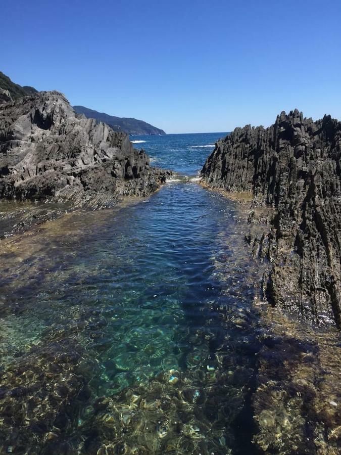 Tavernetta 109 Terrazza Tra Le 5 Terre E Portofino Deiva Marina Dış mekan fotoğraf