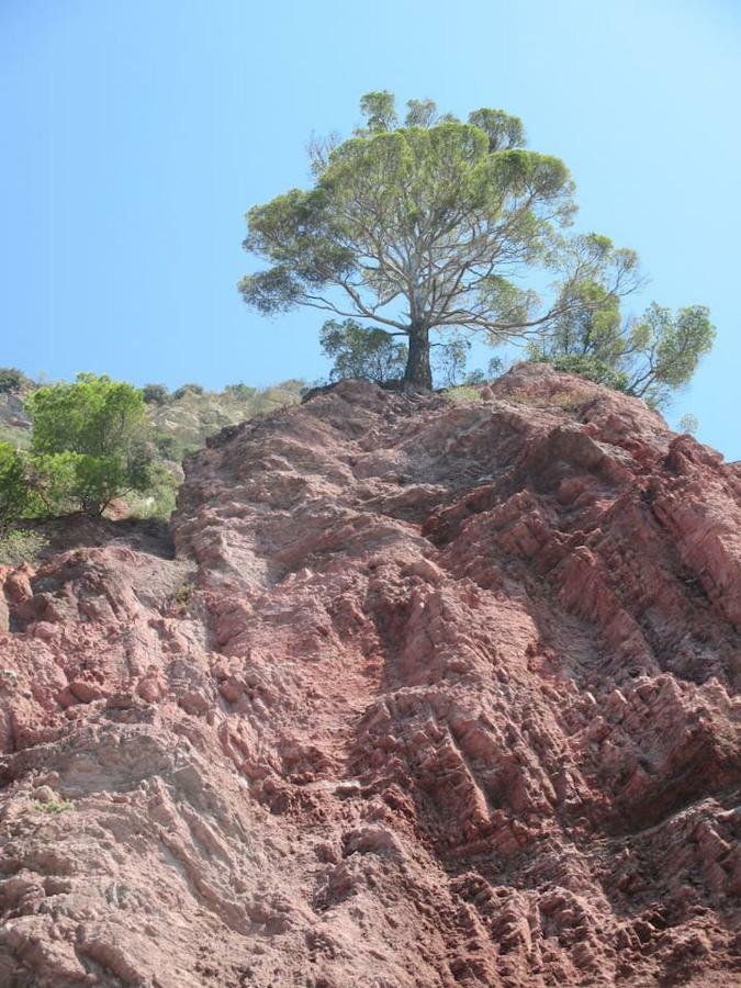 Tavernetta 109 Terrazza Tra Le 5 Terre E Portofino Deiva Marina Dış mekan fotoğraf