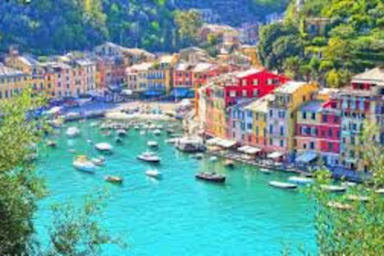 Tavernetta 109 Terrazza Tra Le 5 Terre E Portofino Deiva Marina Dış mekan fotoğraf